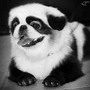  , , 49  -  17  2014   ....