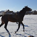  Olga,  -  16  2014   