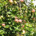 ���� ������, �����-���������, 70 ��� - ��������� 24 ������� 2014 � ������ �����