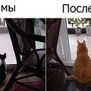 ���� �����, �����������, 28 ��� - ��������� 18 ������ 2014 � ������ ������ ��������