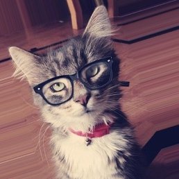 ������, �����-���������