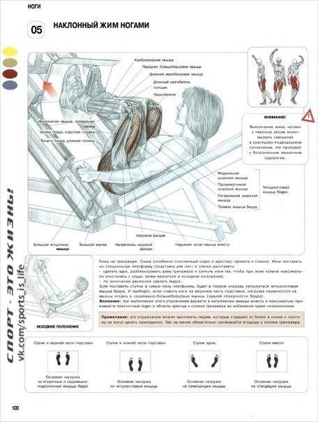        . #SPORT_@sports_is_life - 6