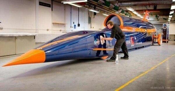 Bloodhound - ,    1600 /