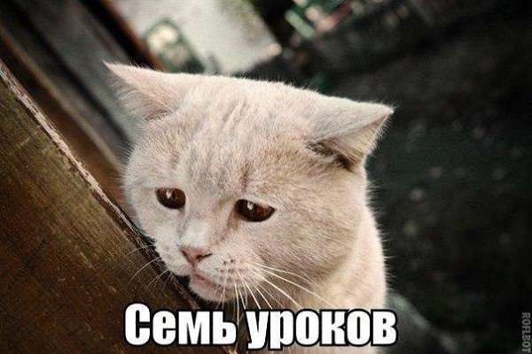    :D - 30  2014  17:21