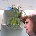 ���� �����, ������, 61 ��� - ��������� 8 ������� 2014 � ������ ���� ����������