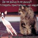 ���� ����, ����������, 57 ��� - ��������� 3 �������� 2014 � ������ ������ ��������