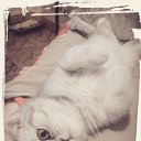 ���� Kati, ������ - ��������� 26 ������ 2014 � ������ ������ ��������