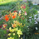 ������� �����. �� ������� �������