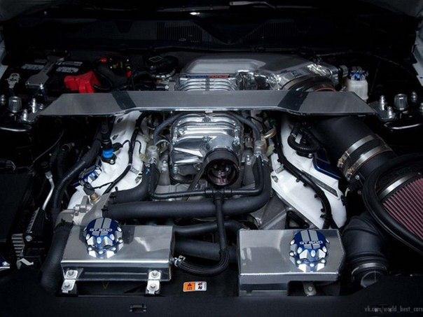 Shelby GT500  Galpin Auto Sports. - 6