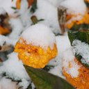 ���� ������, �������, 41 ��� - ��������� 18 ������� 2014 � ������ �������