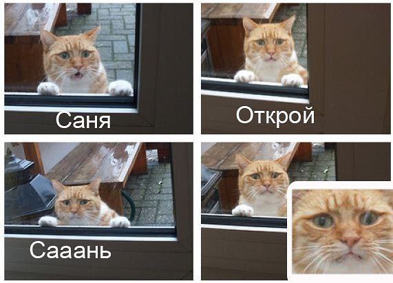     <a href=