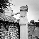 ���� Elena, ������ - ��������� 21 �������� 2014 � ������ ������ ��������