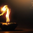  Dali, , 52  -  2  2014    