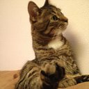 ���� ���������, �����-���������, 57 ��� - ��������� 3 ������� 2014 � ������ ���� ����������