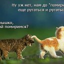 ���� ���������, �����������, 60 ��� - ��������� 18 ������ 2014 � ������ ������ ��������