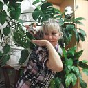 ���� �����, ���������, 52 ���� - ��������� 31 ������� 2014 � ������ ���� ����������