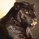 ���� Valentina, �������� - ��������� 27 �������� 2014 � ������ ������ ��������