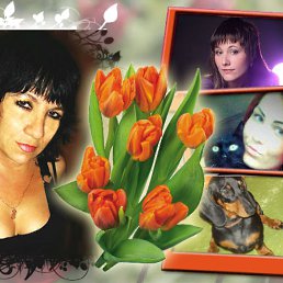 ������, ��������, 63 ����