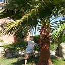 ���� ��������, ������, 65 ��� - ��������� 11 ������ 2014 � ������ ���� ����������