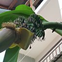 ���� �������, ����, 105 ��� - ��������� 19 ������� 2014 � ������ �������� 2014�