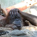 ���� ������, �����-���������, 62 ���� - ��������� 2 ������� 2014