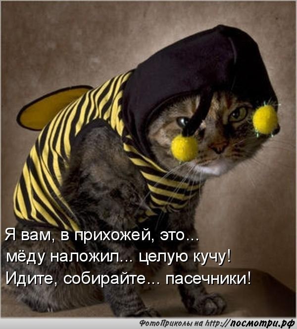       - 6  2014  22:06