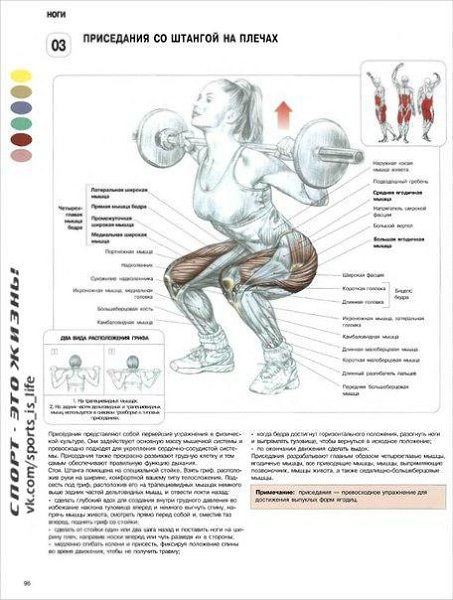 Самые эффективные упражнения для женских ног и ягодиц. #SPORT_тренировки@sports_is_life - 3