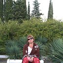 ��������, 2014 �. �� ������� ���� ����������