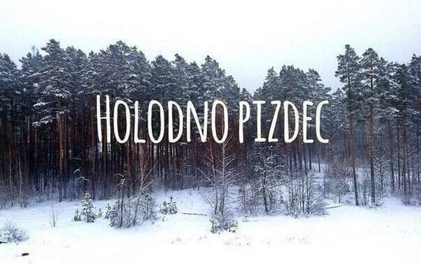 ��� �������? ���� ����� � �������: