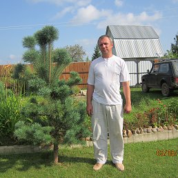 ���� ������, �����, 55 ��� - ��������� 6 �������� 2014