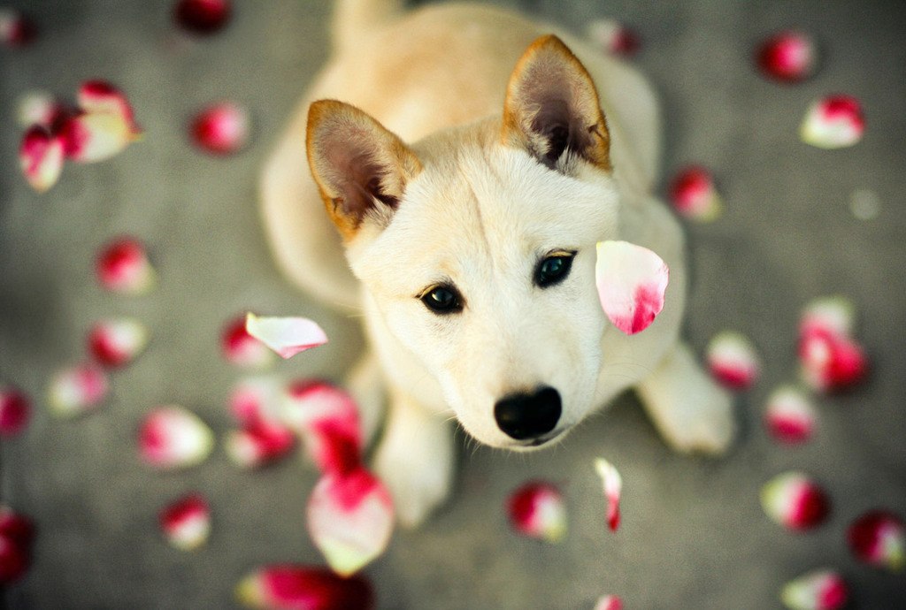       (Jessica Trinh).     ... - 6