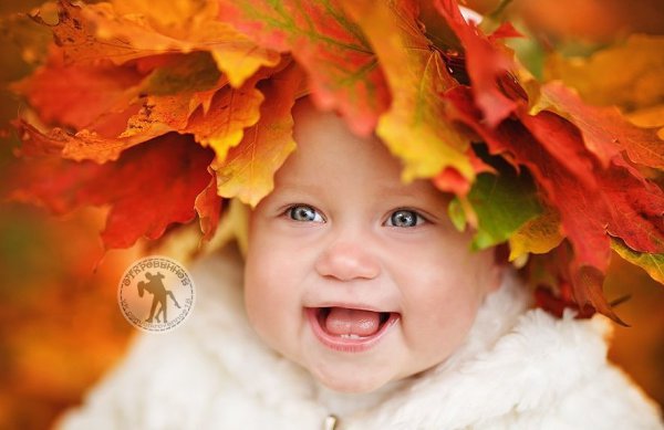 ,      ...          ...  ...