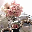 ���� ������, ������ - ��������� 8 ������� 2014 � ������ ������ ��������