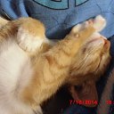 � ��� ���� �� ������� �������