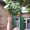 "����� ���..." �� ������� ���� ����������