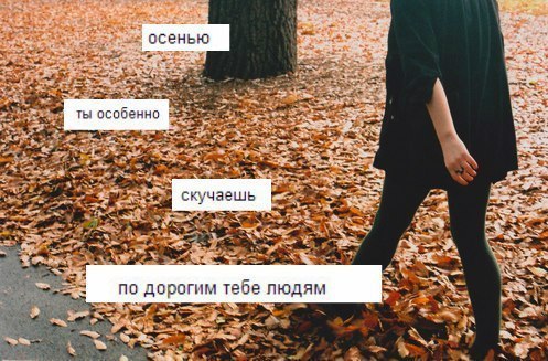   - 5  2014  17:31