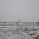   , -, 51  -  4  2014     
