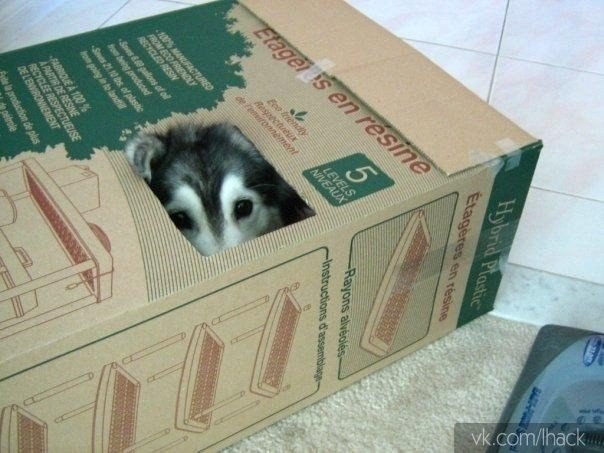   ,    ,     ,   . - 6