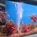 ���� ������, ����������, 69 ��� - ��������� 1 ������ 2014 � ������ ���� ����������