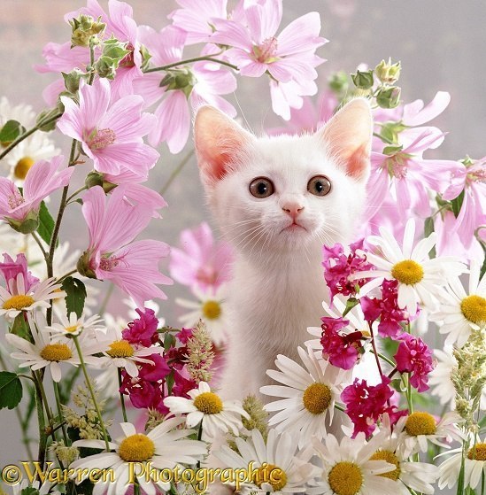       - 17  2014  05:01 - 2