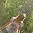 ���� Baltazavrik, ������ - ��������� 29 ������� 2014