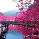 my dream is my paradise!   Cover Photos