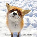 ���� ����, ������� - ��������� 23 ������ 2014 � ������ ������ ��������