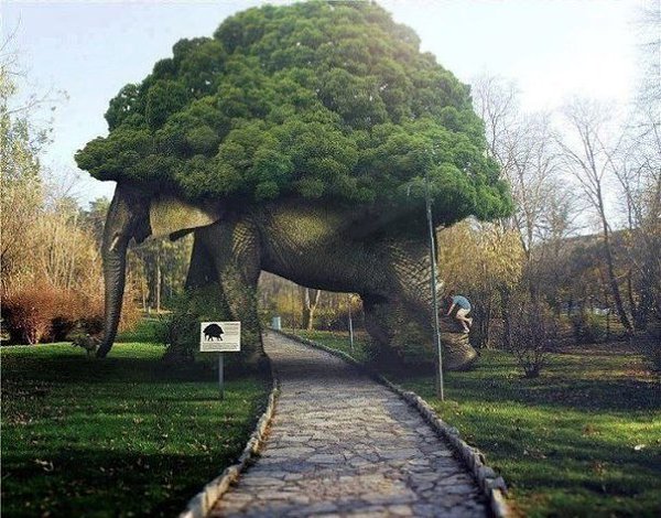 Подписывайтесь на нас: http://fotostrana.ru/public/233467 ;-) Великолепное древо.