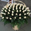 ���� �������, ������-��-����, 43 ���� - ��������� 17 ������� 2014 � ������ ������ ��������