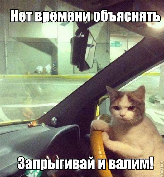 <a href=