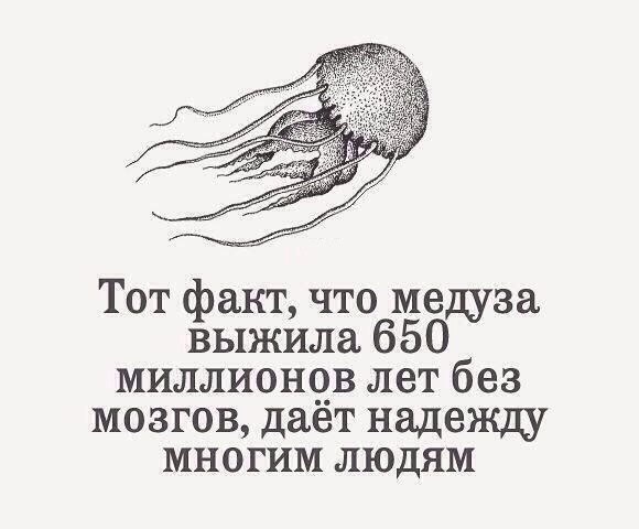    - 11  2014  11:18