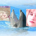 ���� ��, ����� - ��������� 11 ������� 2014 � ������ ������ ��������