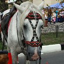 ���� ���������, ���������������, 61 ��� - ��������� 30 �������� 2014 � ������ ������ ��������