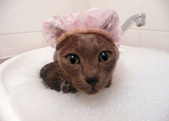   :3